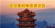 和美女操逼