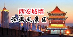 大鸡操逼中国陕西-西安城墙旅游风景区