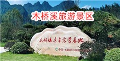 啊啊啊啊嗯嗯好多水插视频